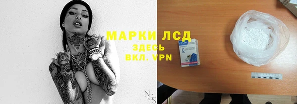 сатива Алзамай