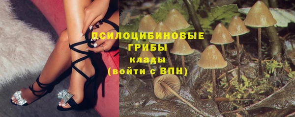 сатива Алзамай